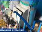 «Уже не выносимо жить»: волжане жалуются на помойку, образовавшуюся прямо внутри подъезда