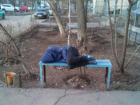 Спящий «скамелье» найден во дворе Волжского