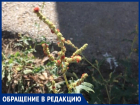 "Мы очень испугались", - волжанка