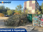 Жители жалуются на огромную кучу сухостоя в старой части Волжского