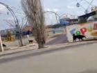 Стая бездомных собак разгуливает по Волжскому: местные боятся гулять с детьми