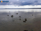Почему волжанам запретили купаться в белорусском озере Нарочь