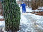Как Дед Мороз убежал от фотографа «Блокнота Волжского»