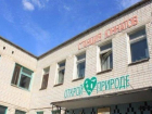 Юные натуралисты из Волжского покорили жюри на экологическом празднике