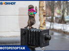 Погода в Волжском: фоторепортаж от Суслика-фотографа