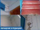 В стенах квартир живут мыши и огромные тараканы, - волжанка
