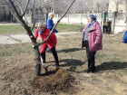 Беремся за грабли и лопаты: в Волжском стартовал традиционный месячник