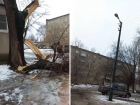 В Волжском сухое дерево оборвало высоковольтные провода: видео