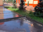 Прогрессивная система: почему в Волжском вместо газона поливают асфальт