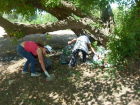Во время экологической акции с левобережья Ахтубы вывезли прицеп с мусором