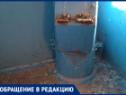 «Все загадили и устроили гнезда»: голуби превратили подъезд в кошмар для жильцов в Волжском