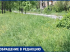 Заросли выше колен: жительница Волжского раскритиковала работу коммунальщиков