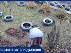 В Волжском бабушка безжалостно обокрала клумбу с розами: видео
