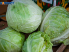 Продуктовая корзина: сравниваем цены на капусту в магазины Волжского