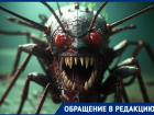 Жителей Волжского атаковали противные насекомые
