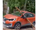 На припаркованный во дворе Волжского автомобиль упало дерево