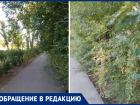 Под колеса самокату или лицом в ветки? В Волжском зарастают пешеходные дорожки