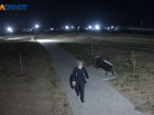 Волжанин разграбил поливочный водопровод в парке: хозяйственный вор попал на видео