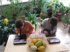 В детских садах Волжского "налегли" на экологическую культуру