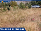Кушари атакуют: волжанин пожаловался на нескошенную траву во дворе