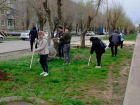 Более 1200 кубометров листвы и мусора вывезли на полигон в Волжском