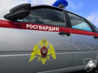 Волжанин решил наживиться на воровстве автомобильных колпаков