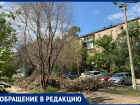 УК не реагирует на сухостои, представляющие угрозу жителям в Волжском
