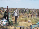 У братской могилы на старом кладбище ходят мертвые солдаты, - волжанка