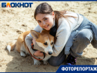 Собрали всех «хороших мальчиков»: в Волжском отметили открытие площадки для собак