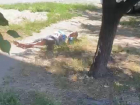 «Отдыхает мужик»: во дворе Волжского сняли на видео любителя позагорать на тротуаре