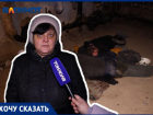 Бомжи ходят под себя, подкармливают крыс и срывают краны: видео из подвала жилого дома в Волжском