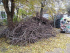 Огромная куча сухих веток создает грязь в Волжском