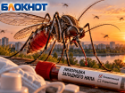 27 жителей Волгоградской области заболели лихорадкой Западного Нила
