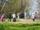 2 тысячи деревьев и 594 организации: в Волжском подвели итоги генеральной уборки