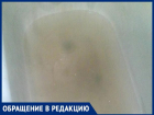 "По ванной фекалии плавают, а аварийка не "чешется", - волжанка
