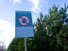 Волжан предупреждают об опасном соседстве: зарегистрировано 2 случая Крымской лихорадки