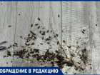Деменция и запущенная квартира: соседи опасаются за жизнь пенсионерки и всего дома в Волжском
