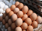 В Волжском продают самые дешевые яйца