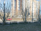 Нелепый пешеходный переход в Волжском упирается в зеленую зону