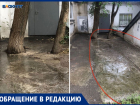  В Волжском забетонировали деревья: жители жалуются на УК «Инвест»