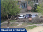 "Зеленые ветки спилили и бросили, а сухостой стоит",- волжанка