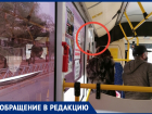 «Снова для «галочки» висит?», - волжанка о санитайзере в автобусе