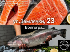 Товар дня. Свежая форель по вкусным ценам 