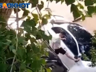 Толпа на черном «крузаке» без номеров устроила стрельбу у общежития в Волжском