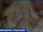 Жительница Волжского обнаружила подозрительных паразитов в заказанной рыбе
