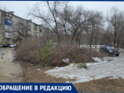 Свалку из веток и мусора 3 месяца не могут убрать во дворе в Волжском