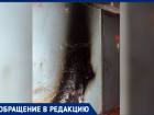 Поджог мусора в многоквартирном доме Волжского: соседи в ужасе от происходящего