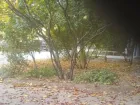 «Цены на ЖКХ повысили, а дворников нет»: жительница Волжского пожаловалась на уборку