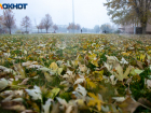 Штормовое предупреждение в Волгоградской области: град, ураганный ветер и ливни парализуют дороги