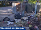 В Волжском решили развести крыс: волжане жалуются на полную антисанитарию во дворах города
